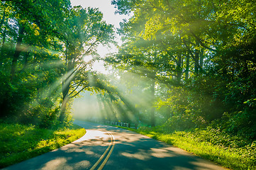 Image showing sun rays through trees on road