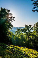 Image showing blue ridge parkway early morning