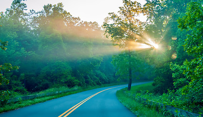 Image showing sun rays through trees on road