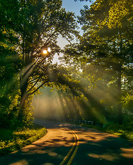 Image showing sun rays through trees on road