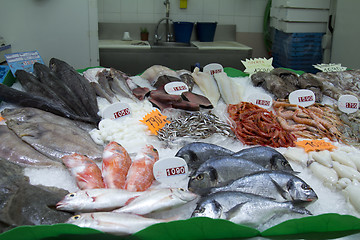 Image showing Fresh seafood fish krivetki, mussels on ice.