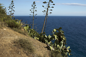 Image showing Ispaniya.Kataloniya.Tossa de Mar.