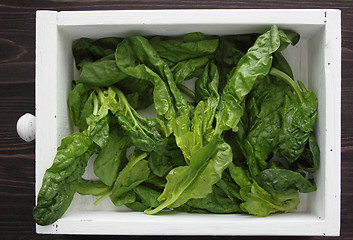 Image showing Spinach in box