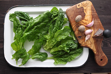 Image showing Spinach