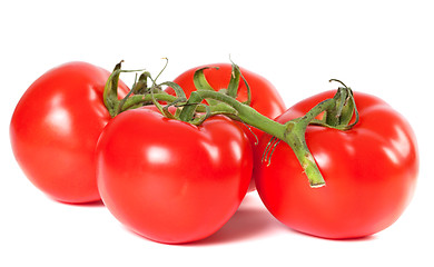 Image showing Bunch of ripe tomato