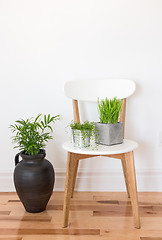 Image showing White wooden chair with green plants