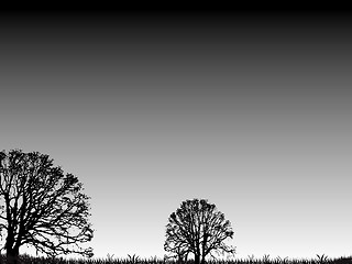 Image showing extra trees gradient