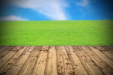 Image showing bright beautiful meadow