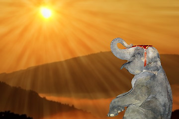Image showing happy elephant at sunset