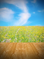 Image showing wooden floor and green field