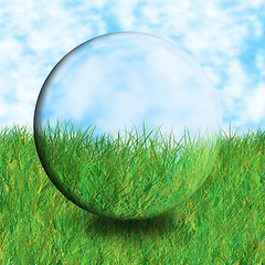 Image showing glass ball grass