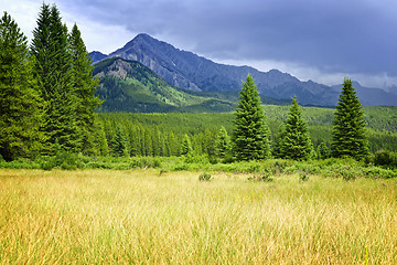 Image showing Scenic view in Canadian Rockies