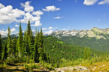 Image showing Rocky mountain view from Mount Revelstoke