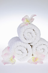 Image showing White rolled up spa towels