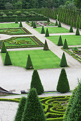 Image showing Elaborate formal garden