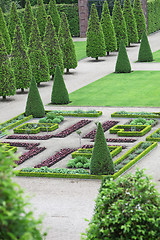 Image showing Green garden