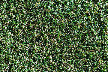 Image showing Seamless green grass background