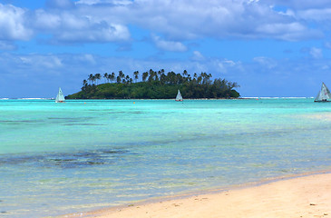 Image showing Tropical Fun