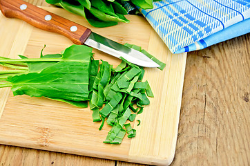 Image showing Sorrel cut on a board with a knife and napkin