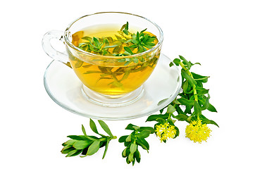 Image showing Herbal tea with Rhodiola rosea in a glass cup