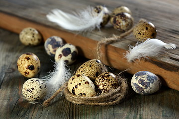 Image showing Colorful quail eggs.