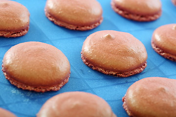 Image showing Blanks for the almond cakes.