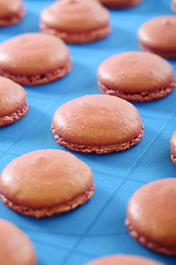 Image showing Blanks for the macaroons close up.