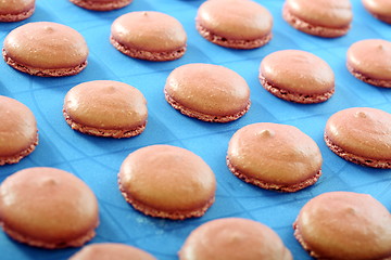 Image showing Macaroons on a baking sheet.