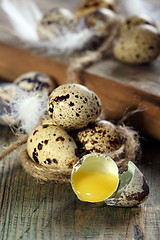 Image showing Broken quail egg.