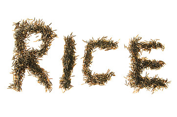 Image showing Wild Rice Spelling rice