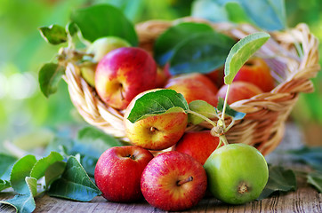 Image showing 	Basket of apples on table