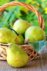 Image showing Ripe pears on basket
