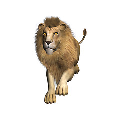 Image showing Jumping Lion