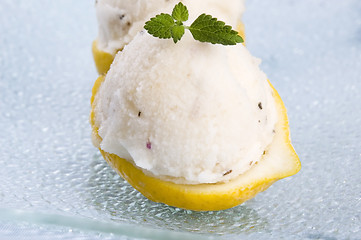 Image showing lemon sorbet with lavender in cups of lemon