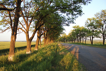 Image showing Rural road on sunset