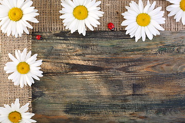 Image showing Daisies on the tape of burlap.