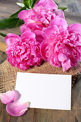 Image showing Three pink peony and card.