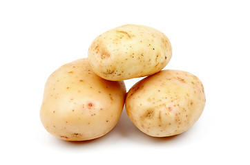 Image showing Raw Potato