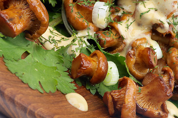 Image showing Roasted Chanterelles with  Cheese Sauce