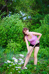 Image showing gardening