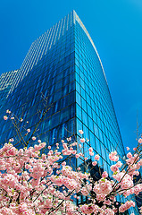 Image showing Modern architecture in the business district of La Defense, Pari