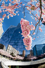 Image showing Modern architecture in the business district of La Defense, Pari