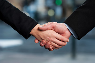 Image showing The deal is on. Business handshake