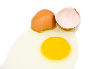 Image showing Egg