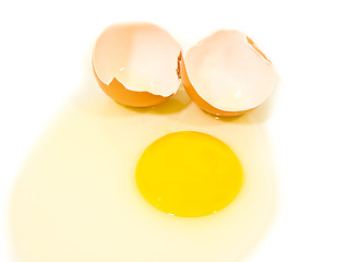 Image showing Egg