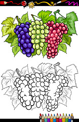 Image showing grapes fruits illustration for coloring book