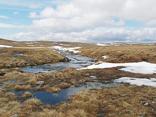 Image showing Cainrgorms plateau, Scotland in spring