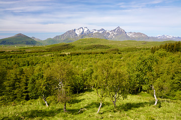 Image showing Summer in Norway