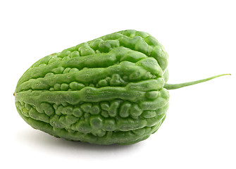 Image showing Bitter melon on white background