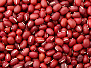 Image showing Adzuki Red Bean close up